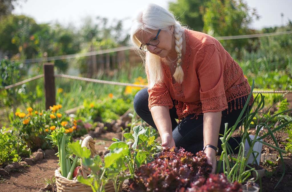 5 conseils pour jardiner sans se blesser